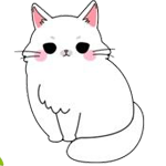 고양이2