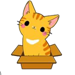고양이3