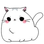 고양이4