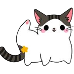 고양이6